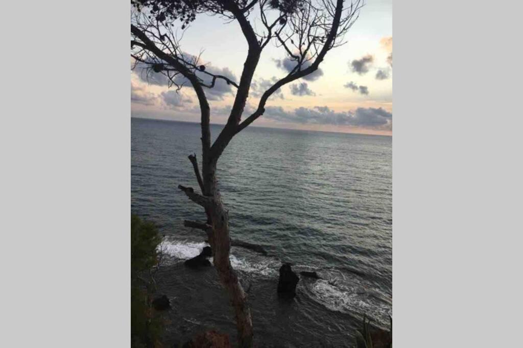 Estudio En Denia Con Piscina Y Wifi Privada, A 100 M Del Mar Bagian luar foto